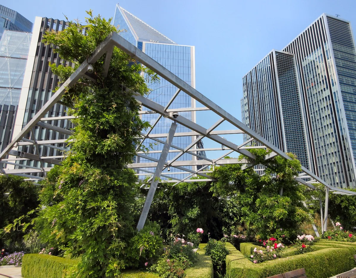 Pergola i stål tett dekket av klatreplanter i takhagen The Garden at 120, omgitt av glassfasadene til skyskrapere i City