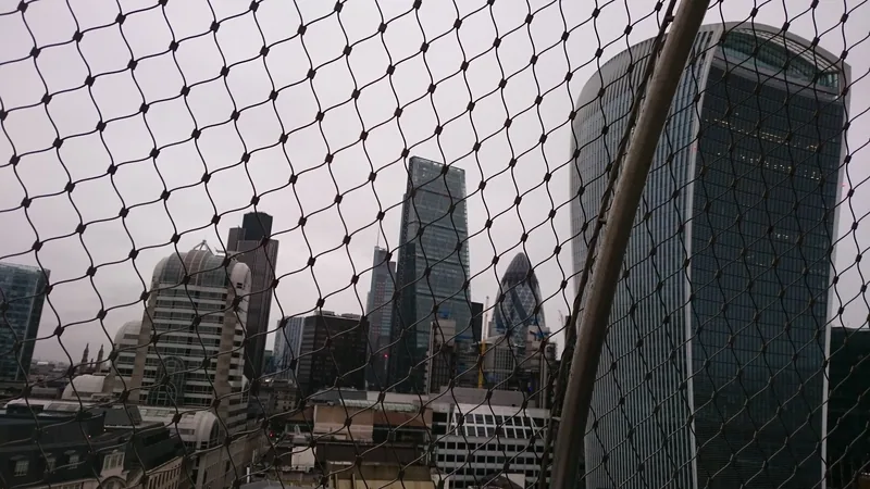 Utsikt gjennom sikkerhetsnettet på toppen av The Monument mot skyskraperne i City, blant dem Walkie-Talkie og Gherkin