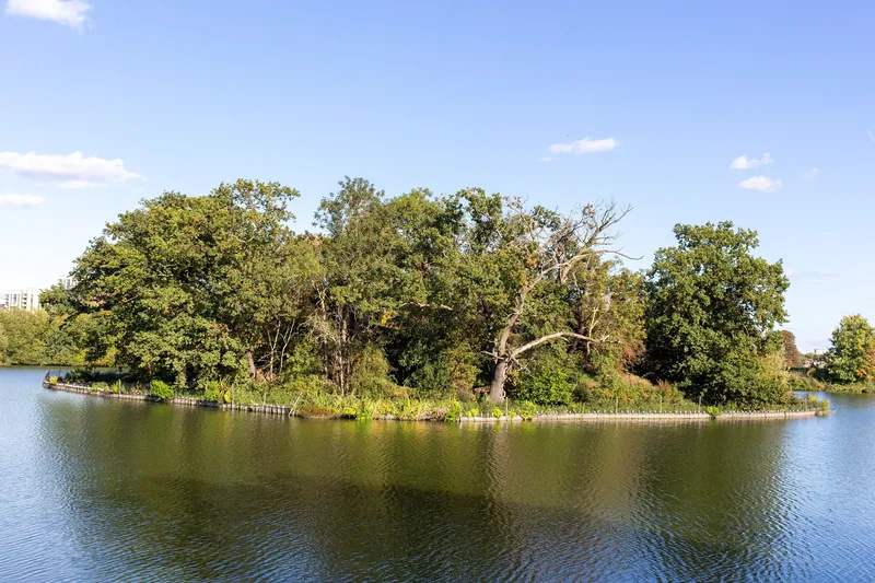 En skogkledd holme i et av reservoarene i Walthamstow Wetlands en klar dag