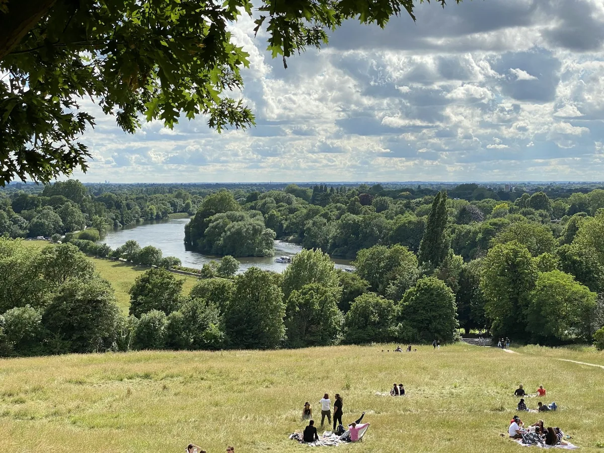 Utsikten fra Richmond Hill over Themsen som svinger mellom grønne trær en sommerdag, med en elvebåt på vannet