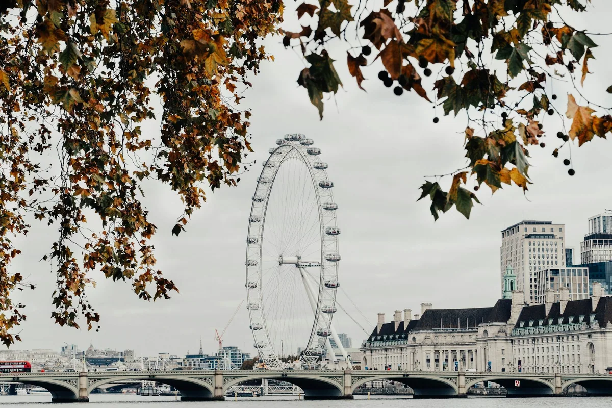London Eye og Westminster Bridge innrammet av høstløv over Themsen