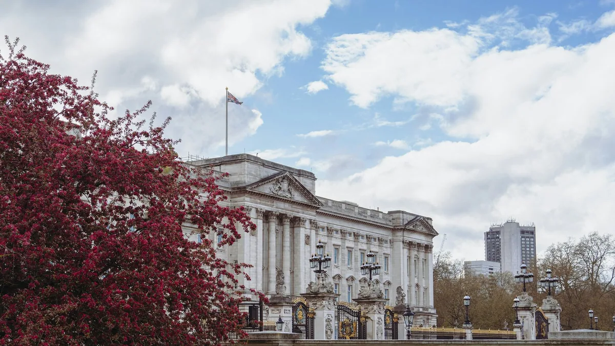 Buckingham Palace bak et blomstrende tre med røde blomster en vårdag