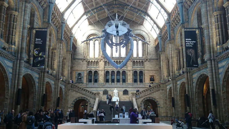 Hintze Hall i Natural History Museum med hvalskjelettet under taket og besøkende ved trappen