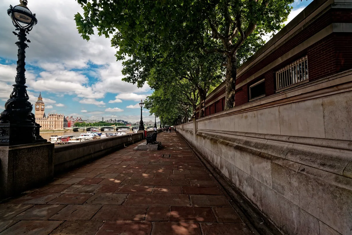 Gangvei med trær langs Themsen ved St Thomas' Hospital, med Big Ben og Westminster i bakgrunnen
