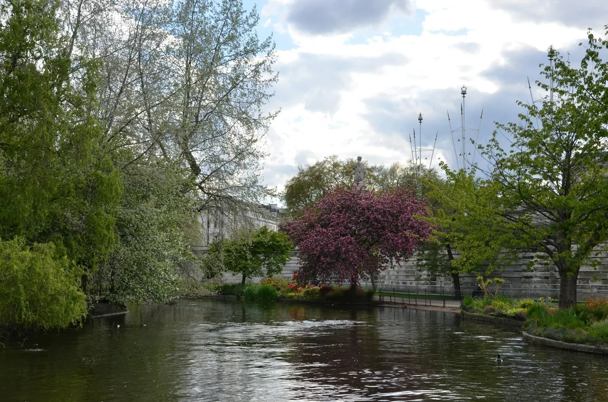 Rosa blomstrende tre og friskt vårløv ved en dam i en park i London