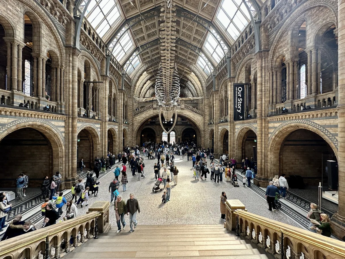 Hintze Hall i Natural History Museum med hvalskjelettet under glasstaket og besøkende i hallen